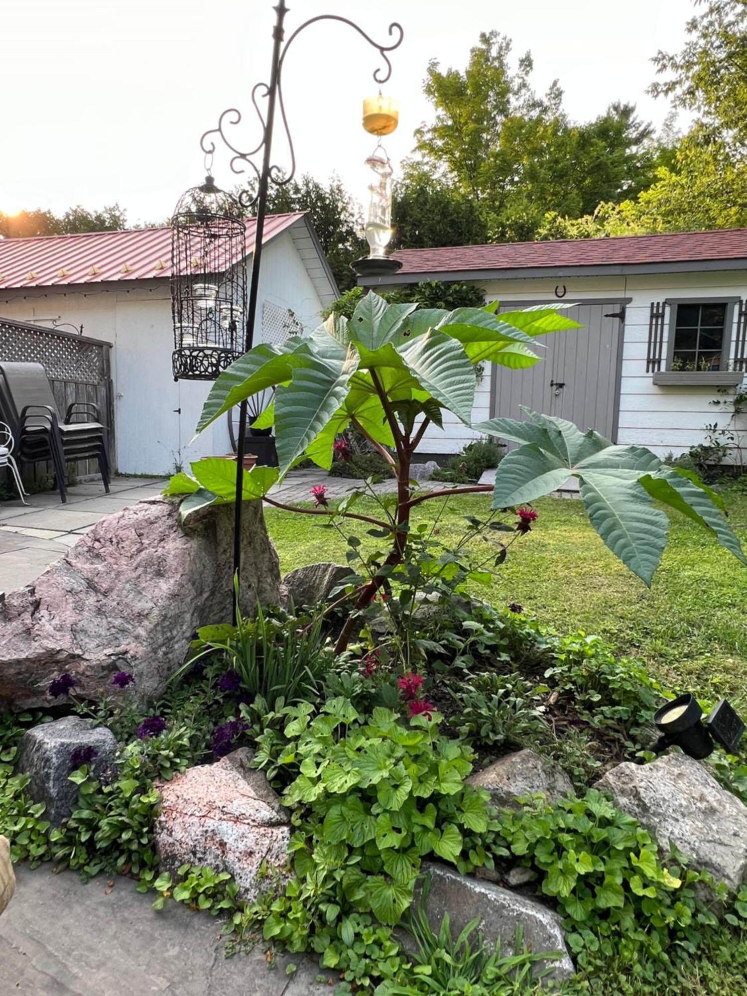 Les Trois Erables Boutique Inn เวคฟีลด์ ภายนอก รูปภาพ